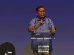 Janji Prabowo Bikin Lumbung Pangan di Rawa-rawa