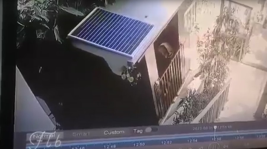 Detik-detik kecelakaan tram lift (lift luar) Ayuterra Resort, Ubud, Bali Detik-detik kecelakaan tram lift (lift luar) Ayuterra Resort, Ubud, Bali, terekam kamera CCTV. Insiden ini menewaskan 5 orang.