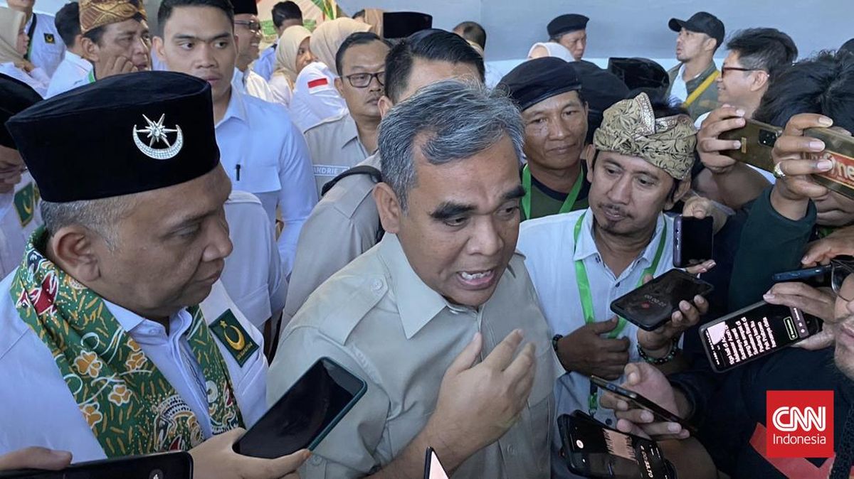 Gerindra Terima Kasih PDIP Dukung Pemerintahan Prabowo