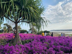Peninsula Island, Tempat Wisata Gratis di Bali dengan Pemandangan Estetik
