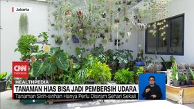 VIDEO: Cara Memperbaiki Kualitas Udara di Rumah