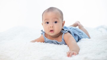 PERKEMBANGAN BAYI 7 BULAN