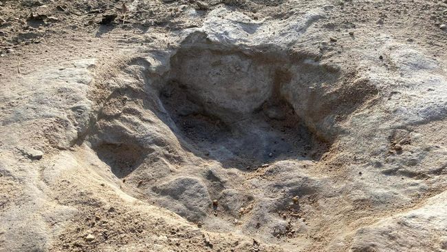 Drought reveals 70 longest dinosaur tracks in the world at Dinosaur Valley State Park