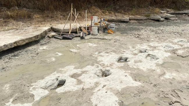 Dinosaur Tracks Found Under Riverbed in Texas During Severe Drought