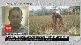 VIDEO: Kemarau Panjang, Ancaman Gagal Panen di Depan Mata