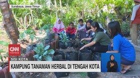 VIDEO: Keunikan Kampung Herbal