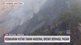 VIDEO: Kebakaran Hutan Taman Nasional Bromo Berhasil Padam