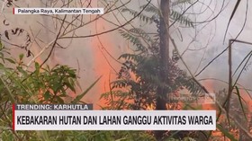 VIDEO: Kebakaran Hutan Dan Lahan Ganggu Aktivitas Warga