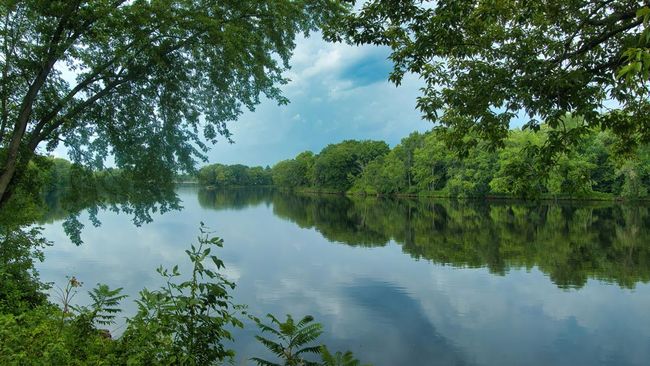 Danau Chippewa adalah danau buatan yang dibangun pada 1923 dan dibuat di area rawa, di mana permukaannya seakan-akan menjadi pulau gambut. 