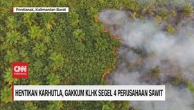 VIDEO: Hentikan Karhutla, Gakkum KLHK Segel 4 Perusahaan Sawit