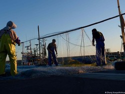 Jepang Sedia Dana Bantuan Industri Perikanan, Imbas Pelepasan Fukushima
