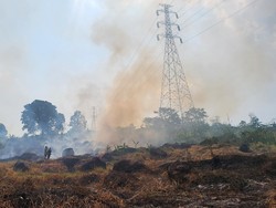 Kebakaran Lahan Pengasinan Palabuhanratu Meluas, Ancam Tower Sutet