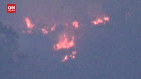VIDEO: 8 Hektar Hutan Gunung Lawu Terbakar, Api Sulit Dipadamkan