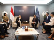 Merek Mobil Vietnam Vinfast Bertemu Mendag Bahas Kendaraan Listrik