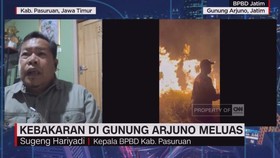VIDEO: Kebakaran di Kawasan Gunung Arjuno Terus Meluas
