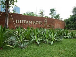 Sudah Tahu Belum Pemilik Hutan Kota Plataran Tempat Gala Dinner KTT ASEAN 2023?