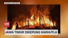 VIDEO: Jatim Dikepung Karhutla