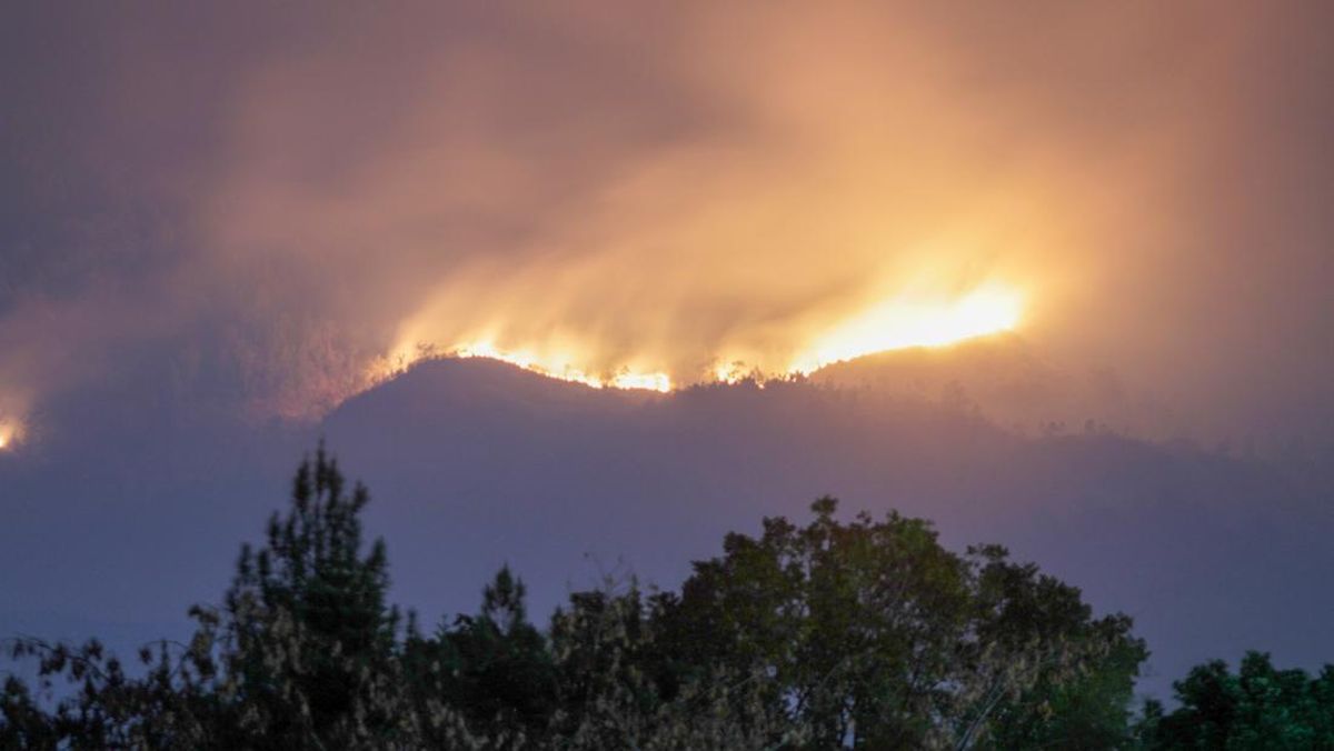Kebakaran Gunung Arjuno-Welirang Capai 146 Hektare