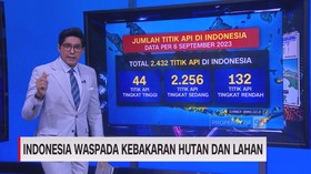VIDEO: Indonesia Waspada Kebakaran Hutan Dan Lahan