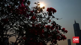 Seberapa Besar Peluang Heatwave 'Panggang' RI? Ini Kata BMKG