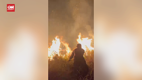 VIDEO: Momen Petugas Berjibaku Padamkan Karhutla di Gunung Arjuno