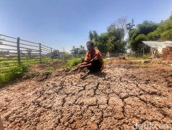 19 Kecamatan di Garut Alami Kekeringan