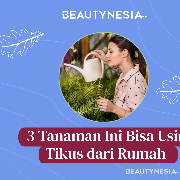 3 Tanaman Ini Bisa Usir Tikus dari Rumah