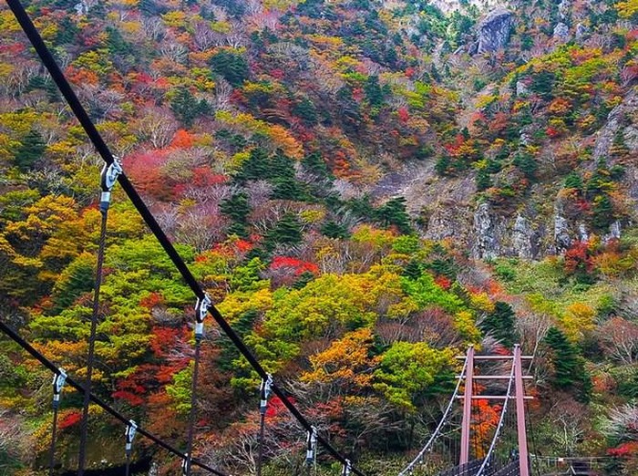 Halasan Mountain di Pulau Jeju / Foto: livingnomads.com