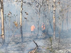 Kebakaran Lahan di Dekat Permukiman-Rusunawa Giripeni Kulon Progo