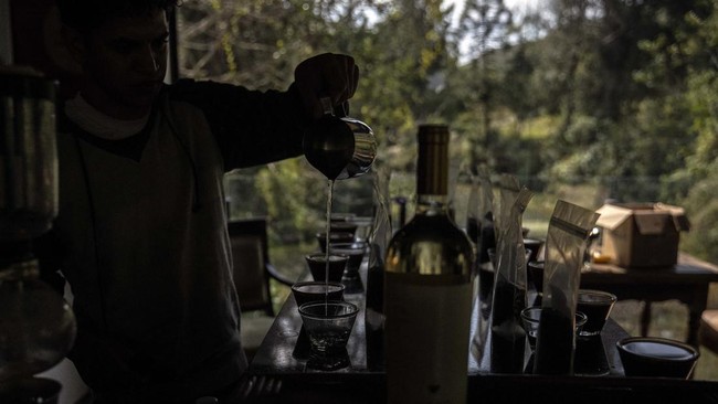 FOTO: Bukan Luwak, Brazil Punya Kopi yang Dibuat dari Kotoran Burung