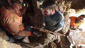 Kisah Bak Mimpi, 4 Pedang Romawi 1.900 Tahun Ditemukan di Israel
