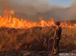 Fakta-fakta Bukit Teletubbies Bromo Terbakar karena Flare Prewedding