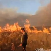 Gegara Pengunjung Foto Prewedding Pakai Flare, Bukit Teletubbies Bromo Kebakaran! Manajer WO Jadi Tersangka