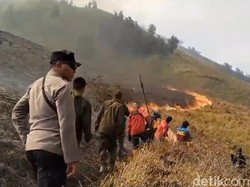 Duduk Perkara Bukit Teletubbies Bromo Terbakar karena Flare Prewedding