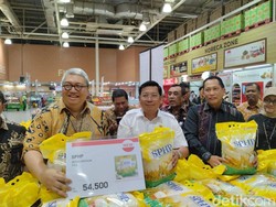 Harga Beras Bulog Naik Jadi Rp 54.500 per 5 Kg