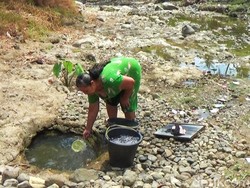 Kekeringan di Kaliajir Banjarnegara, Warga Gali Air di Sungai Bau Karat