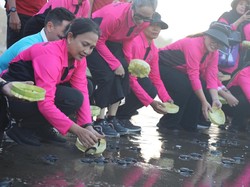Bhayangkari Polri Lepas Tukik di Pantai Tabanan Bali