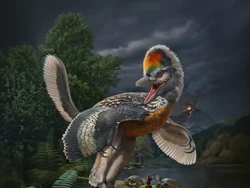 Ilmuwan Temukan Fosil Dinosaurus Mirip Burung, Berusia 150 Juta Tahun