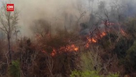 VIDEO: Momen Kebakaran Ribuan Hektare Wilayah Hutan Lindung Bolivia