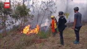 VIDEO: 1 Warga Terluka Saat Padamkan Api di Kawasan Gunung Guntur Garu