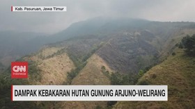VIDEO: Dampak Kebakaran Hutan Gunung Arjuno-Welirang