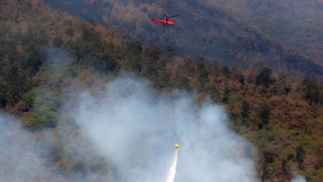 Wildfires in Indonesia's Arjuno-Welirang mountains successfully extinguished