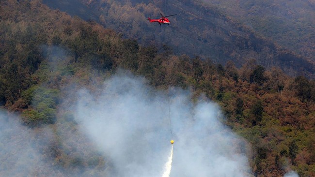 Saat berada di Palembang, Kepala BNPB memastikan asap dampak dari kebakaran hutan dan lahan (karhutla) tidak mengganggu ke wilayah negara tetangga.