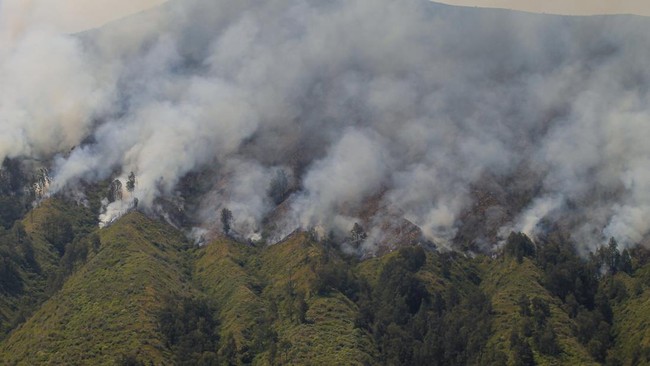 Kebakaran hutan dan lahan kembali terjadi di kawasan Taman Nasional Bromo Tengger Semeru, tepatnya di Gunung Batok Sabtu (22/6).