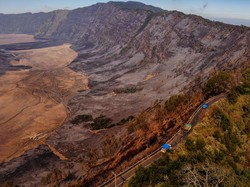 Akibat Prewedding Konyol: 500 Hektar Area Bromo Hangus- Bisnis Travel Merugi