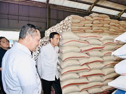 Jokowi Sebut RI Masih Butuh Impor Beras 2 Juta Ton