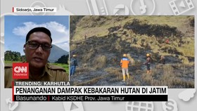VIDEO: Penanganan Dampak Kebakaran Hutan di Jatim