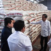 3 Juta Ton Beras Impor Bakal Banjiri RI Tahun Ini