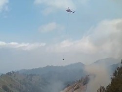 Hati-hati Main Api! Deretan Kebakaran Gunung hingga TPA di Musim Kering