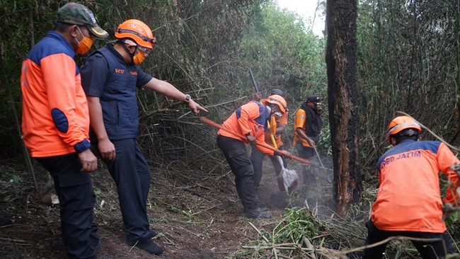 Kalaksa BPBD Jatim mengatakan kebakaran hutan dan lahan di Bromo sudah padam terbantu hujan yang turun Rabu malam hingga Kamis siang ini.